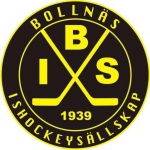 Bollnäs IS logo
