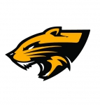 Manila Bearcats logo