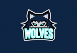 Nijmegen Wolves logo