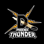 Dunedin Thunder logo