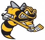 Sarnia Sting logo