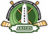 ACEMHH Akiles logo