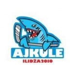 HK Ilidža 2010 logo