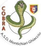 Cobra Montichiari logo
