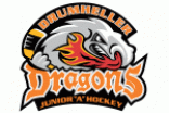 Drumheller Dragons logo