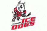 Niagara IceDogs logo