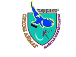 Erdenet logo