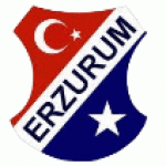 Erzurum Gençlik Spor Kulübü logo