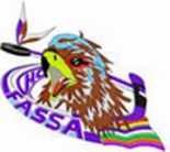 Fassa Falcons logo