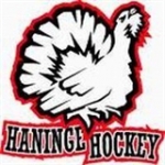 Haninge HC logo