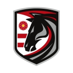 HK Lietajúce kone Prešov logo