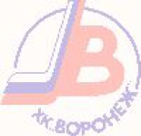 Buran Voronezh logo