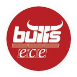 Kapfenberg Bulls logo
