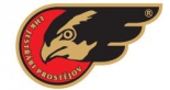 HK Jestřábi Prostějov logo