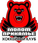 Molot Perm logo