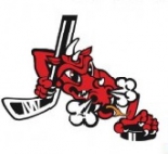 Stade Poitevin HC logo