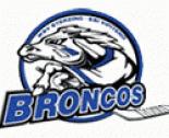 Wipptal Broncos logo