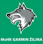 MsHK Zilina logo