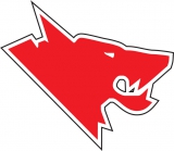 Dniprovski Vovky Dnipropetrovsk logo