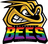 Bracknell Bees logo