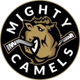 Dubai Mighty Camels logo