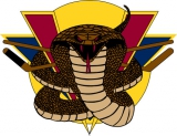 Vernon Vipers logo