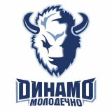 Dinamo Maladzyechna logo