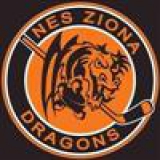 Dragons Nes-Ziona logo