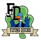 Flying Ducks IHC Dublin logo