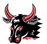 Kumla HC Black Bulls logo