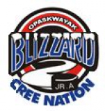 OCN Blizzard logo