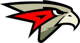 Omsk Hawks logo