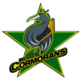 Rennes Cormorans HC logo