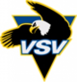 EC Villacher SV 2 logo