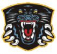 Nottingham Panthers are Play Off Championship winners
