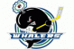 Detroit Compuware Ambassadors logo