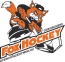 ACS Fox Hockey Gheorgheni logo
