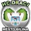 HC Draci Bílina logo