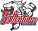 Sollentuna HC logo