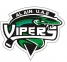 Dubai Vipers logo