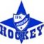IFK Arboga logo