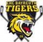 Bayreuth Tigers 1b logo
