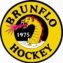 Brunflo IK logo