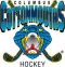Columbus Cottonmouths logo