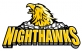 Connecticut Nighthawks logo