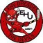 EHV Dresden Devils logo