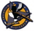 Fresno’s Fighting Falcons logo