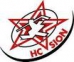 HC Sion logo