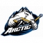 Laval Arctic logo