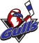 Long Island Gulls logo